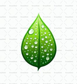 Tautropfen auf einem Blatt